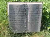 image of grave number 478497